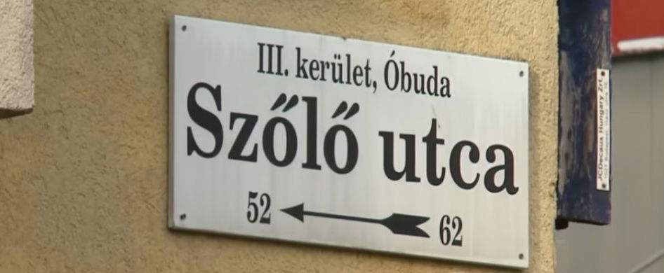 Iszonyatos ami kiderült a Szőlő utcai ügyről, eddig senki nem merte ezt kimondani, a szakértő kőkemény kijelentést tett
