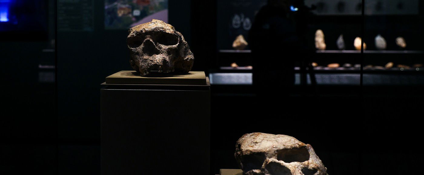 Félelmetes koponyát találtak a tudósok, ez mindent megváltoztat, amit az emberről tudtunk, ők lehettek az őseink?