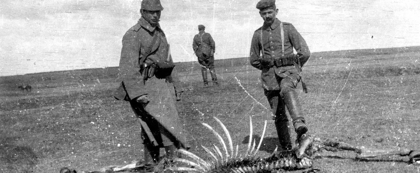 Bizarr leletre bukkantak a monarchia idejéből, a magyar történész sikítva ugrott hátra a fióktól