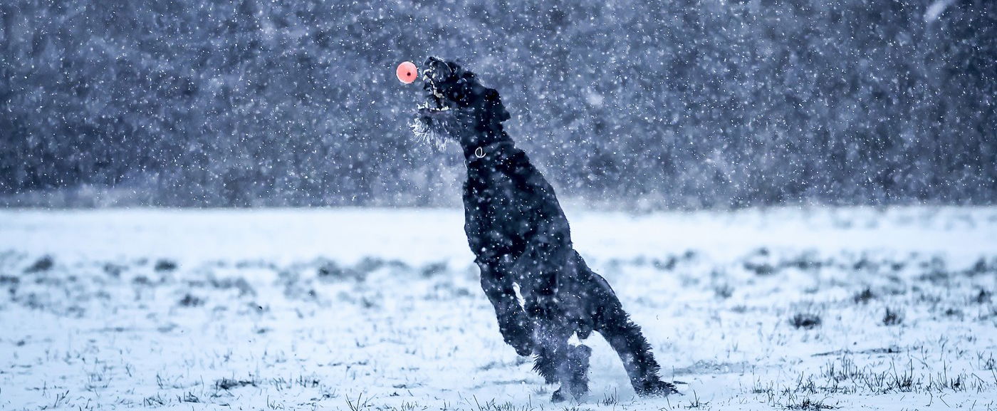 Több vármegye is narancssárgában úszik, hóvihar készülőben, zuhanórepülésben a hőmérséklet