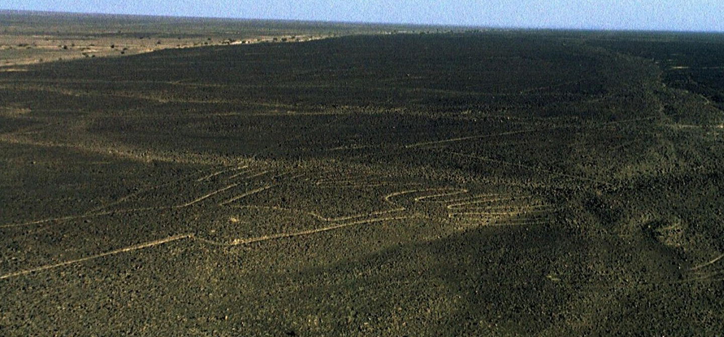 Világszenzáció, Magyarországon jelentek meg a Nazca-vonalak, a havazás példátlan dolgot művelt 