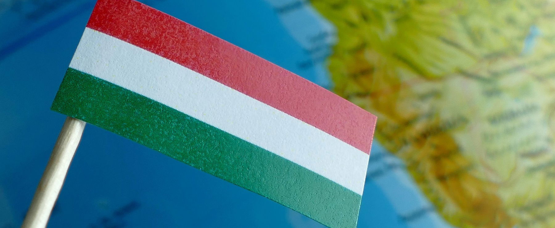 Itt a vége, hazánkban egyetlen ilyen volt, azt is elpusztították, felháborító fotó terjed az interneten