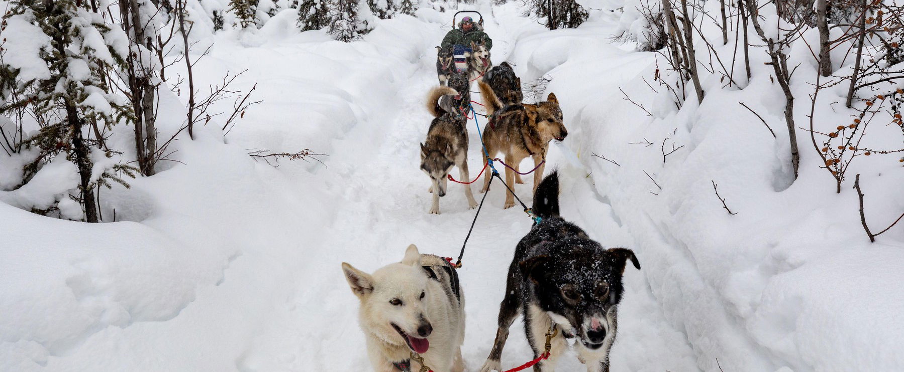 Az ország északi része térdre kényszerült, Nógrádban szánpótló jár busz helyett