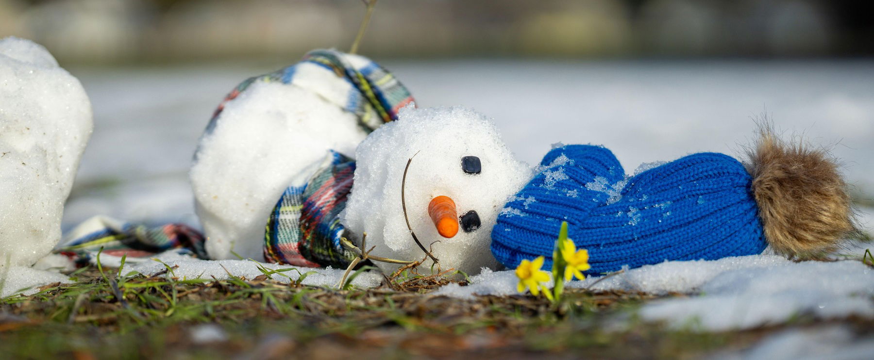 Itt a tavasz, óriási melegfröccs tört be az országba, 1 országrészben durván megugrik a hőmérséklet a friss időjárás-előrejelzések szerint