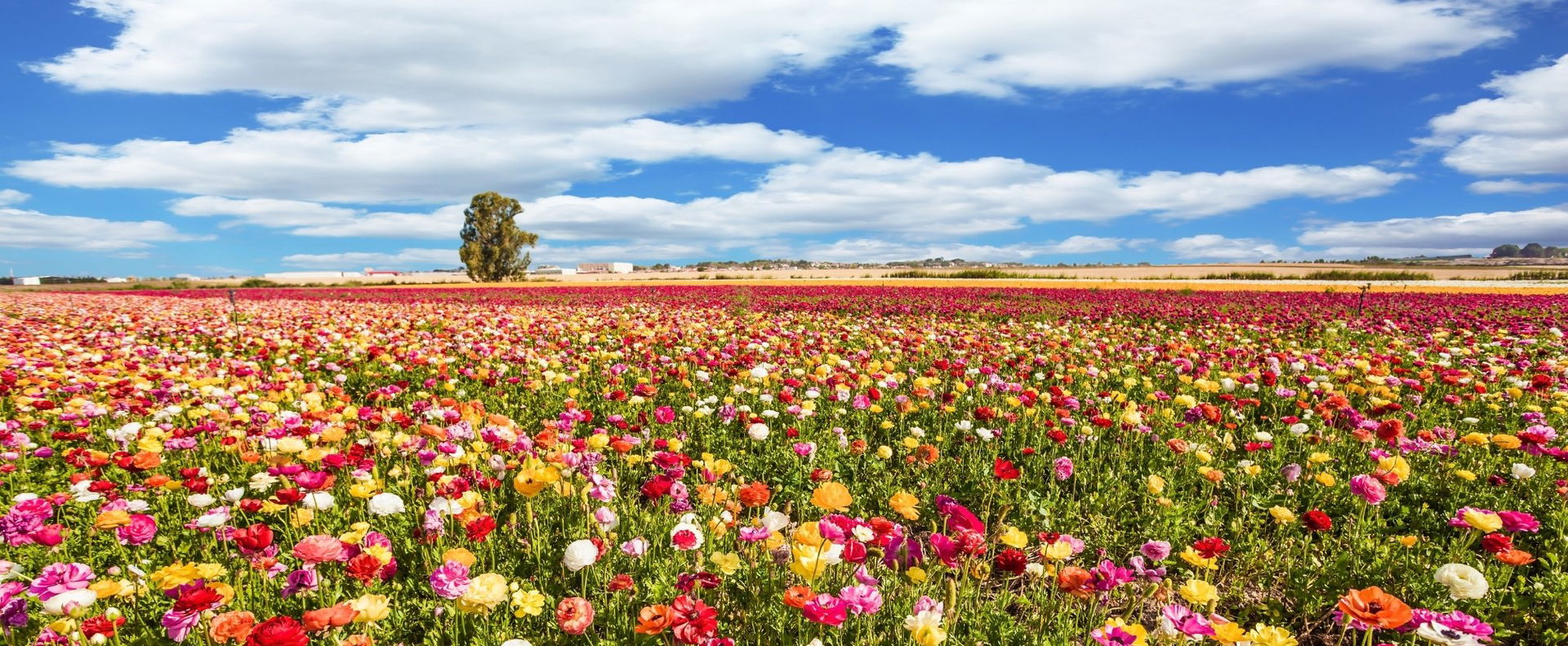 Ekkor ér véget a tél, így robban be a tavasz az évtized leghidegebb tele után majd hazánk területén?