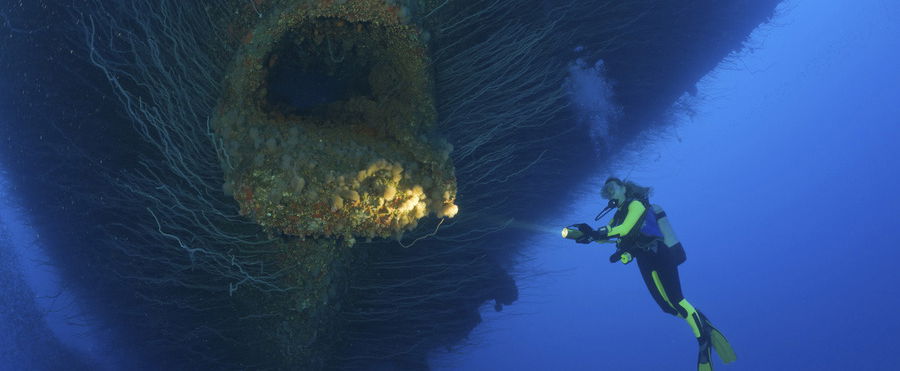 Magyar feliratot találtak a Földközi-tenger mélyén, 4 rendkívüli szó, erre a szövegre nem vagy felkészülve