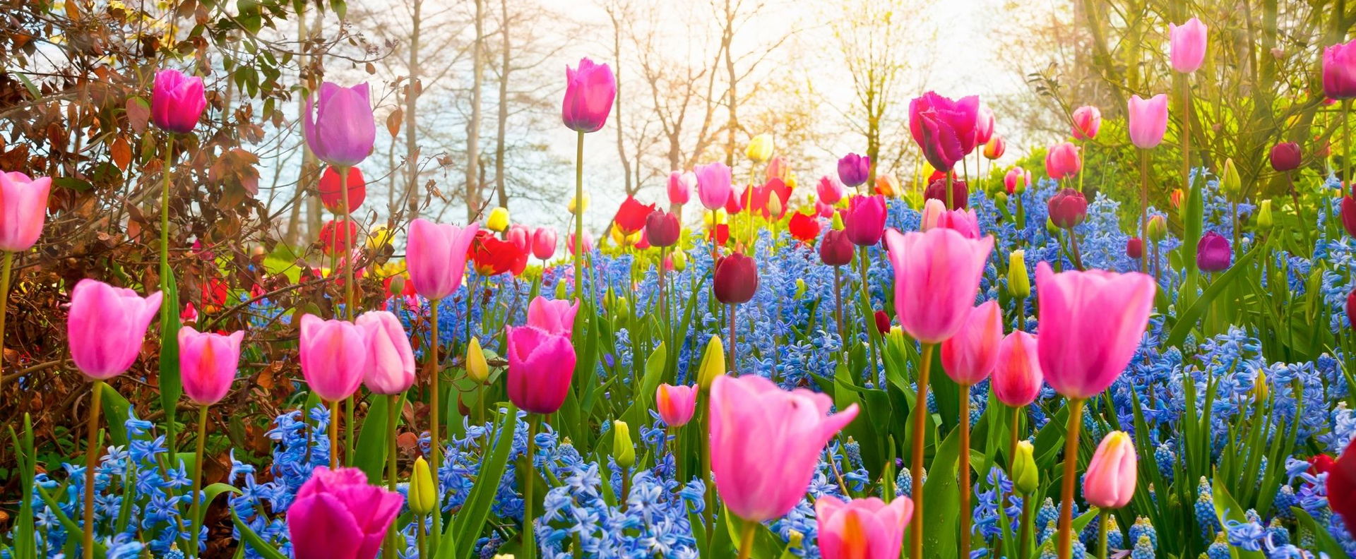 Ekkor tör be a tavasz, már meg is van az időpont, ekkor ér véget a hideg tél Magyarország a friss időjárás-előrejelzések szerint?