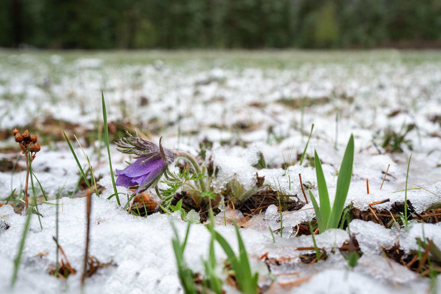 Közölték a meteorológusok, fel kell készülni a sarkvidéki hidegre, de már tudjuk végre, mikor jön az igazi tavasz