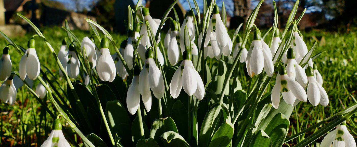 Bejelentették, itt a tavaszias fordulat, mégis súlyos riasztásokat adtak ki 9 vármegyére az érkező ítéletidő miatt - Időjárás-előrejelzés 