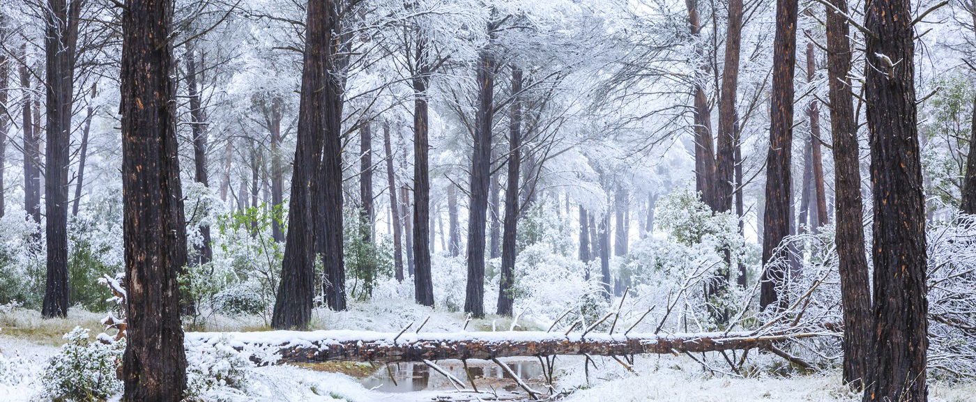 Itt zendít rá a havazás hazánkban, közölték a napot, amikor visszatér a hó az ország területére a friss időjárás-előrejelzések szerint?