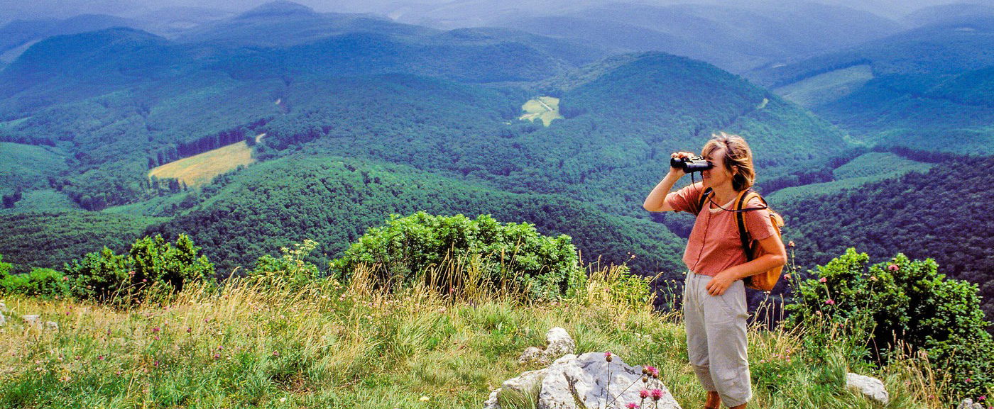 Leszállt a Mátrában valami egészen elképesztő az égből, az ország teljesen megőrül, kamera rögzítette a példátlan látványosságot