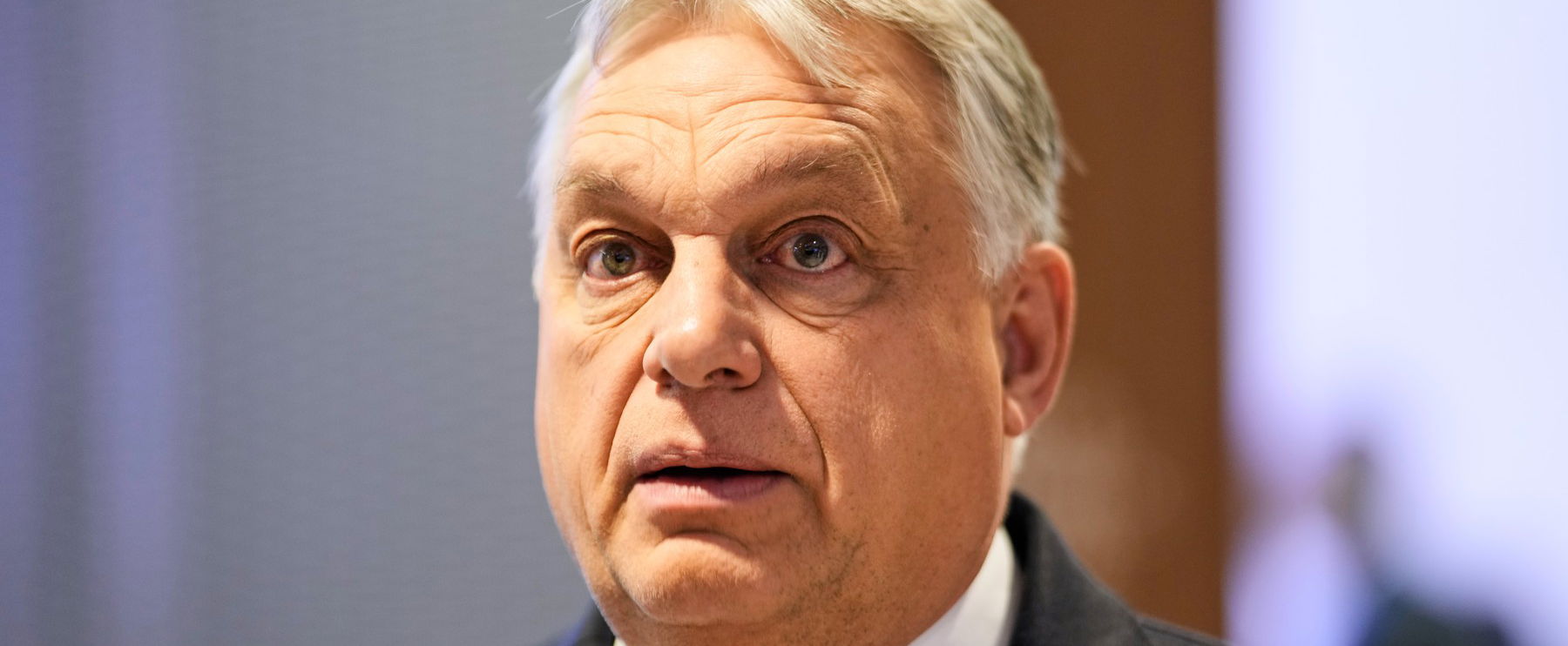 Az utolsó magyar király leszármazottja nekiment Orbán Viktoréknak, brutális állítással sokkolta Európát