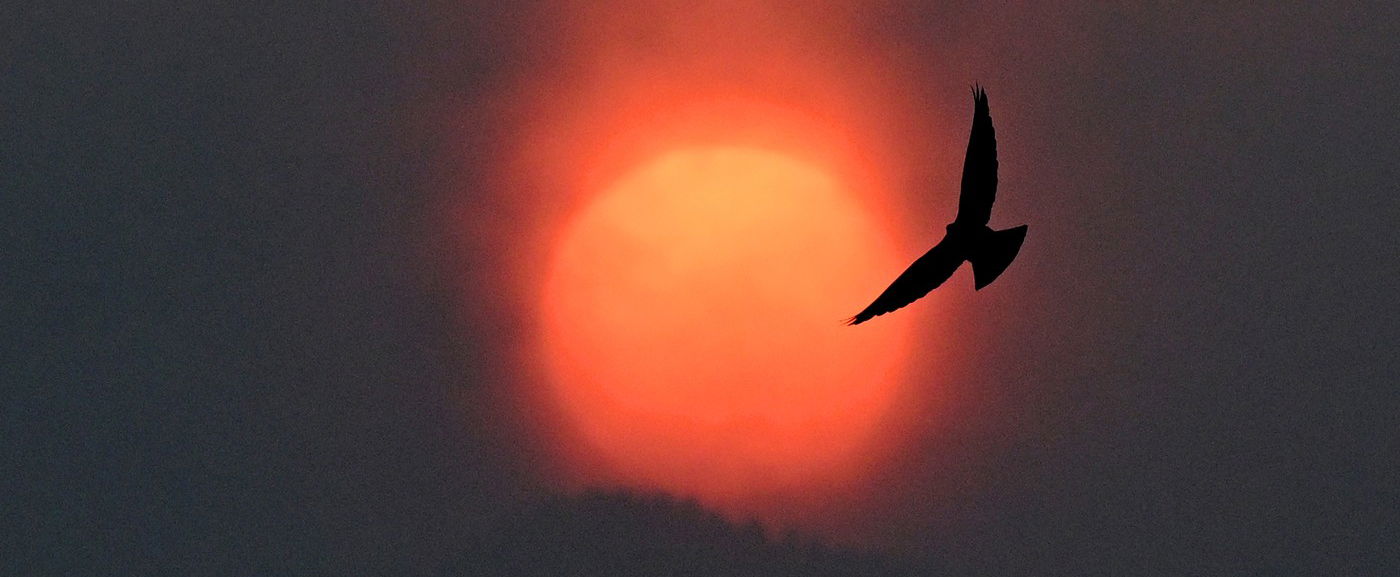 Őrült melegedésbe torkollik a havazás, itt a dátum, nagy hőmérséklet-emelkedés jön hazánkban, készülhet az egyik országrész?