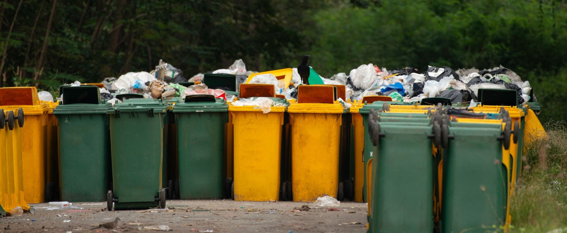 Milliókat érő kincset találtak a szemétben Magyarországon, a felvételek felrobbantották az internetet