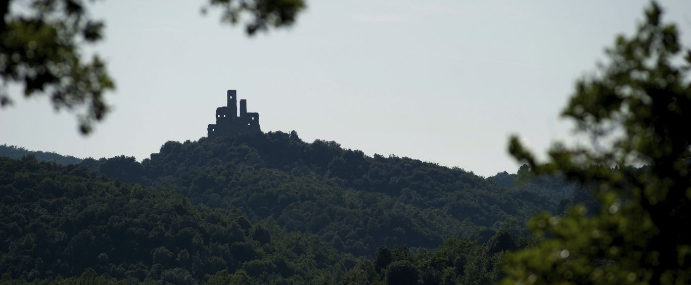 Hátborzongató magyar kastélyra bukkantak az erdő mélyén, borzalmas titkot őriz, tragédia történt a falai között