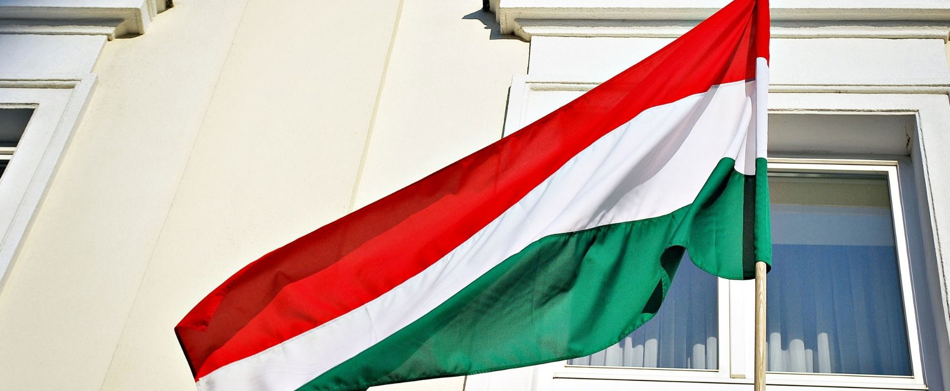 Arcpirító kijelentéseket tettek a magyar nyelvre a külföldi diákok, sokaknál elszakadt a cérna