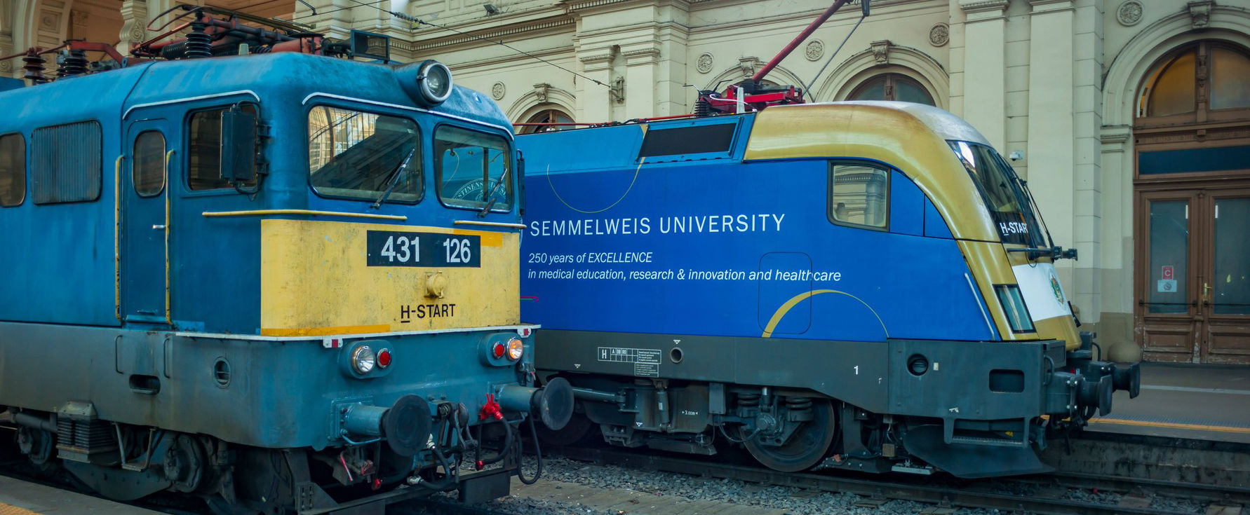 Kegyetlen álláshirdetés jelent meg a MÁV neve alatt, a feltételek láttán mindenki padlót fogott