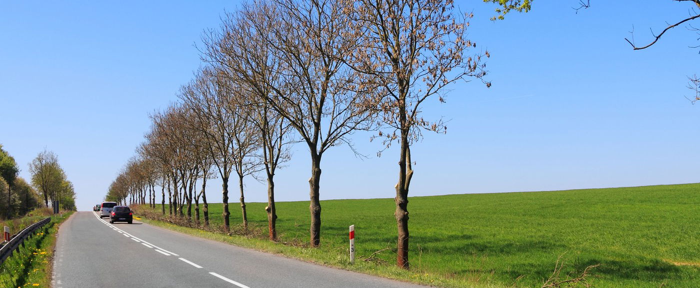 Március első napja kőkemény fordulatot hoz, erre az időjárásra nem készültél fel még
