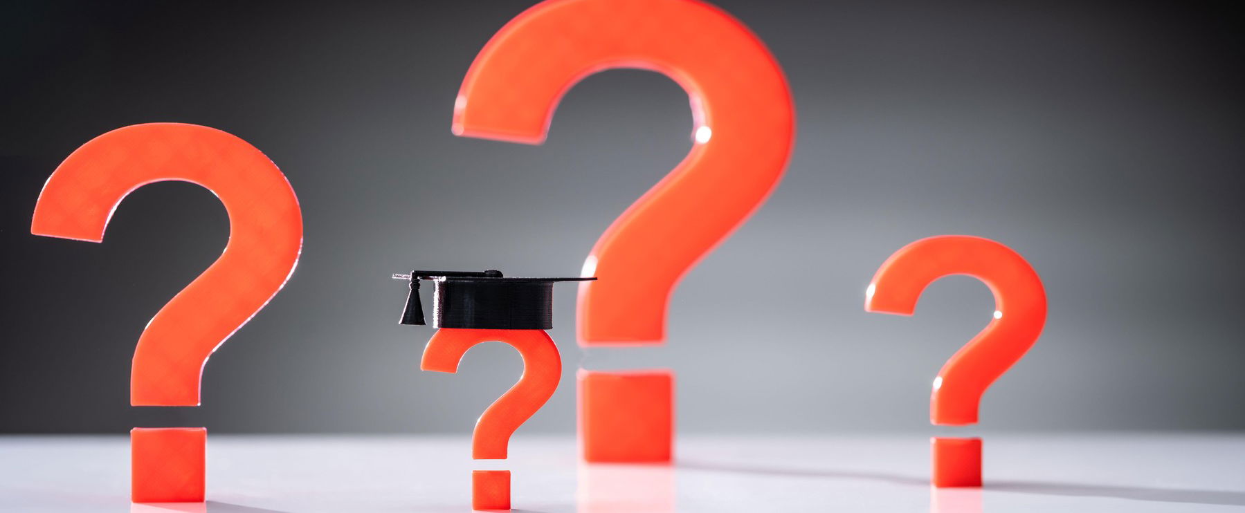 Kvíz: Ursula, Teknőc Ernő és a többiek, csak a legműveltebbek tudják, mi volt Dr. Bubó igazi receptje az erdei bajokra