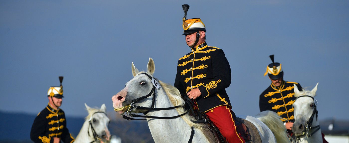 Sokkoló, ezt írják a 48-as magyar szabadságharcról az osztrák iskolai tankönyvek