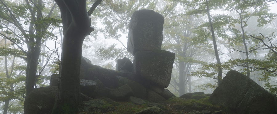 Megtalálták a magyar Stonehenget egy erdő mélyén, beleremeg az ország ebbe a felfedezésbe