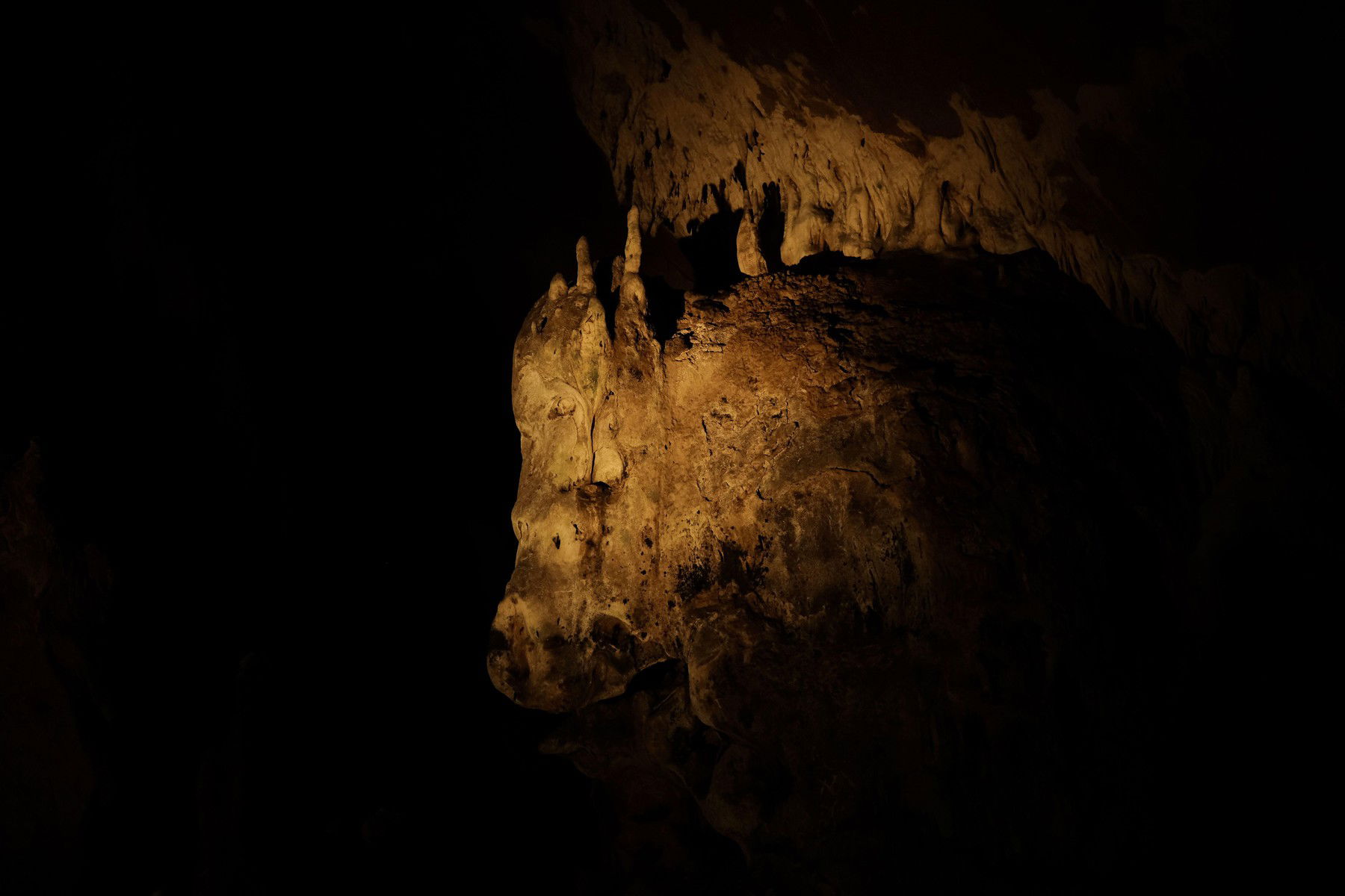 Bizarr lény bukkant fel Kína eldugott hegyeiben, rejtélyes állatkert rejti az ijesztő titkot