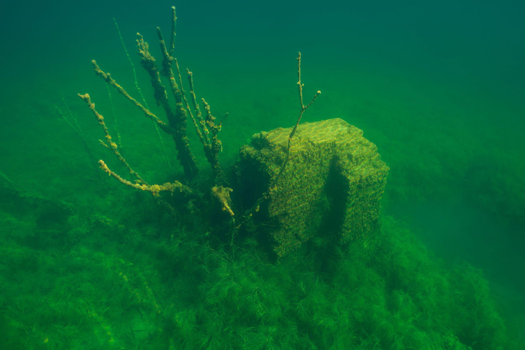Legendás ősi város nyomára bukkantak a búvárok Európa partjainál, 7000 éves kőstruktúrákat fedeztek fel