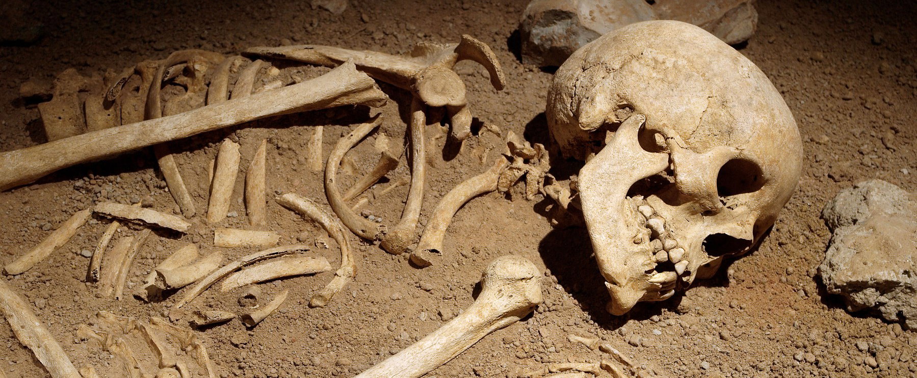 Gyomorforgató hirdetésre bukkantak a magyar nyomozók, emberi testrészt árult a fővárosi férfi