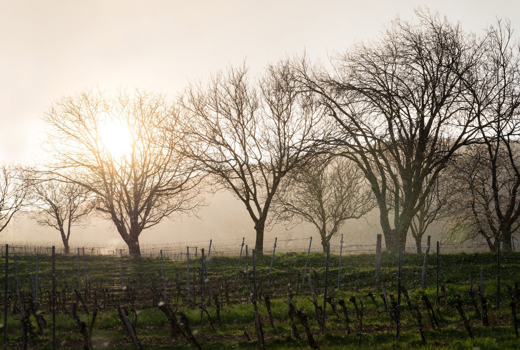 Komoly változás érkezik ma, elmondták a meteorológusok, milyen időre számíthatunk húsvétkor