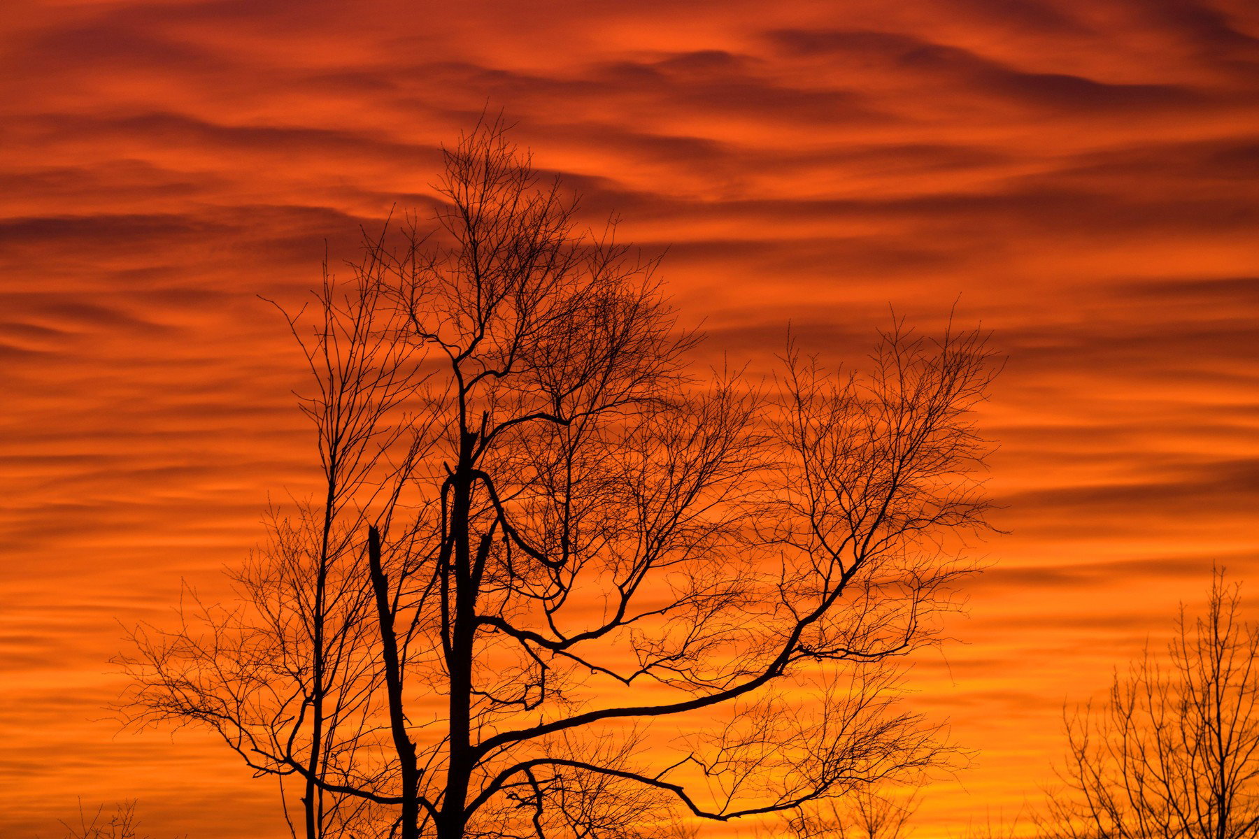 Hatalmas adag szaharai por érte el a Kárpát-medencét, ami teljesen átírja a heti időjárást - részletes időjárás előrejelzés