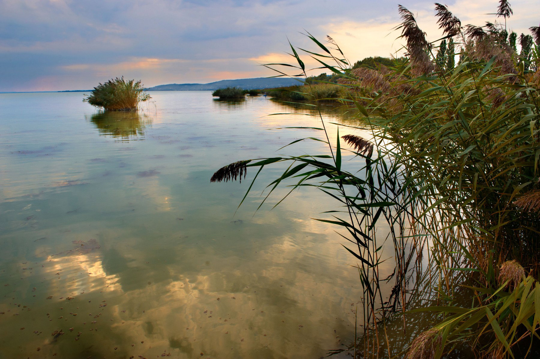 Veszélyben a balatoni fürdőzés, aggasztó hírek érkeztek a déli partról