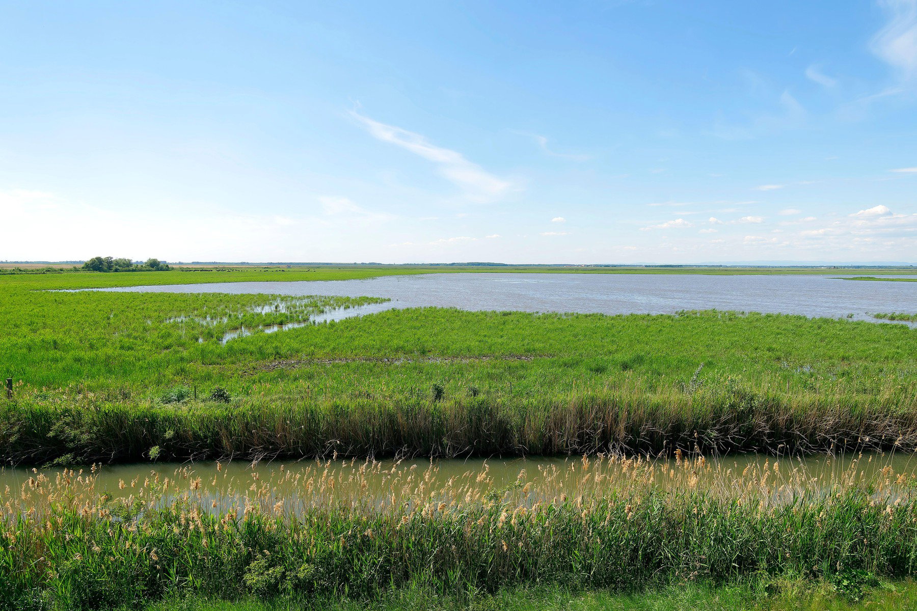 Megszólalt a szakértő Békés vármegyéről, egyre nagyobb gond, már a helyiek is érzik