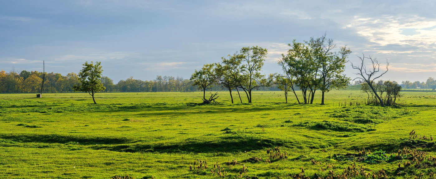 Honfoglaló őseinkkel érkezett, az egyik vármegyében még mindig rettegik ennek a fenevadnak a nevét