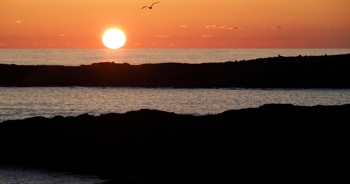 Fénylő aranygömböt találtak a tudósok a tenger mélyén, évek munkája kelett...