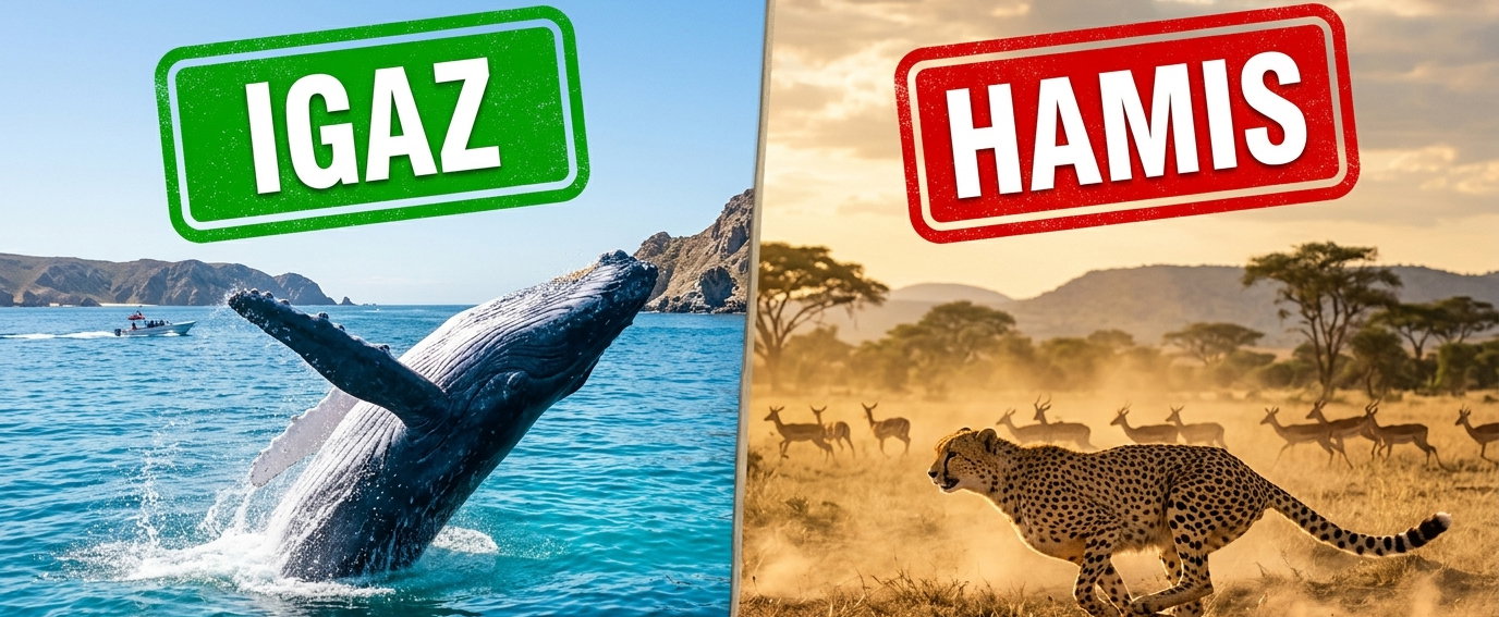 Kvíz: azt hitted, ismered a világ rekordjait? A legtöbben elbuknak ezen az egyszerűnek tűnő teszten