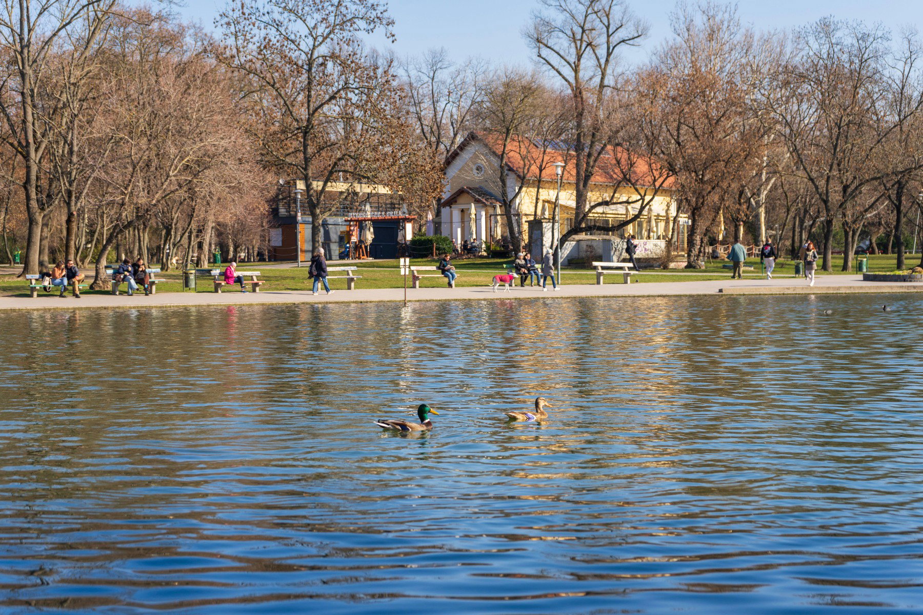 Tetlegességig fajult egy vita a Városligetben, undorító módon támadt rá egy férfi 3 védtelen nőre