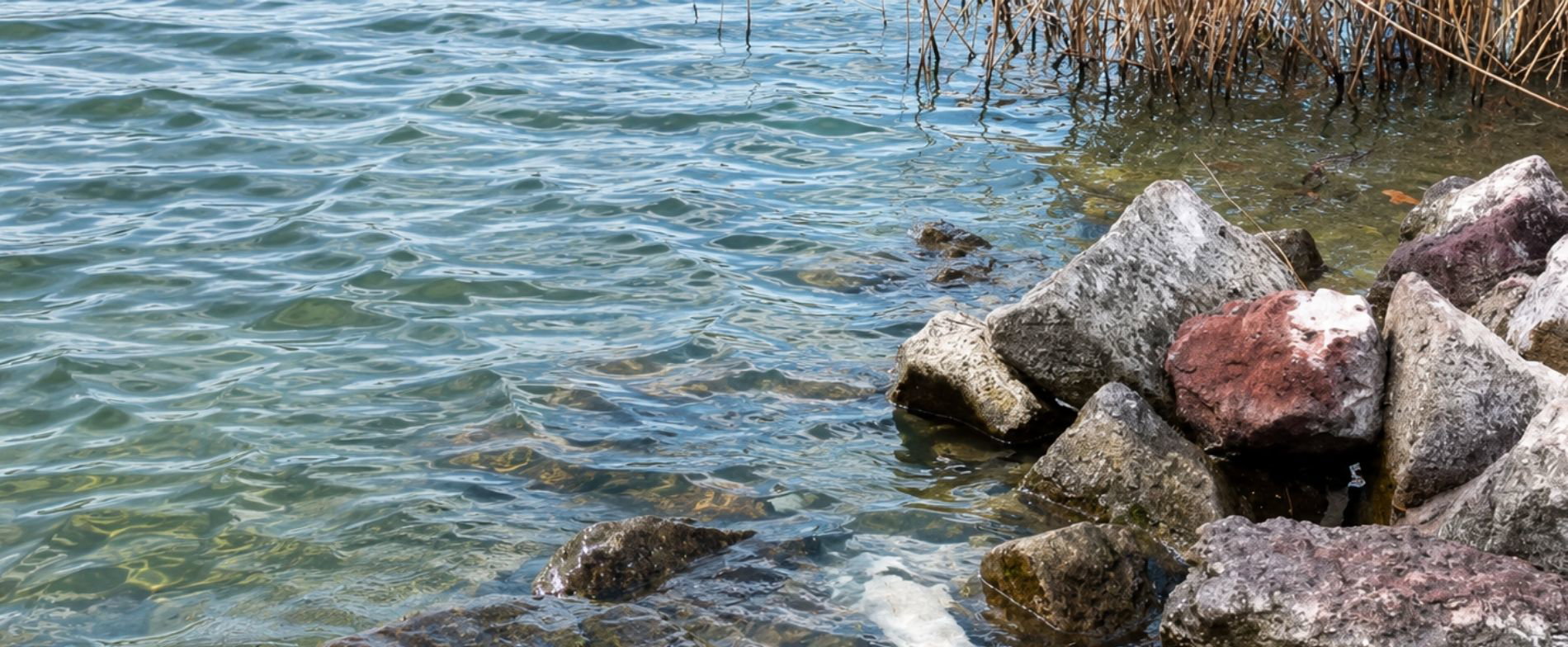 Óriási a baj a Balatonnál, a hatóságok kérik, hogy senki ne közelítse meg a partot