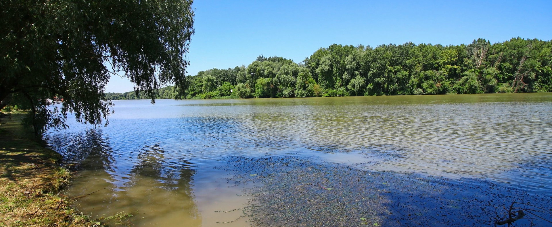 Tragikus jelenséget videóztak egy hazai folyónál, a szakértők is csak fogják a fejüket