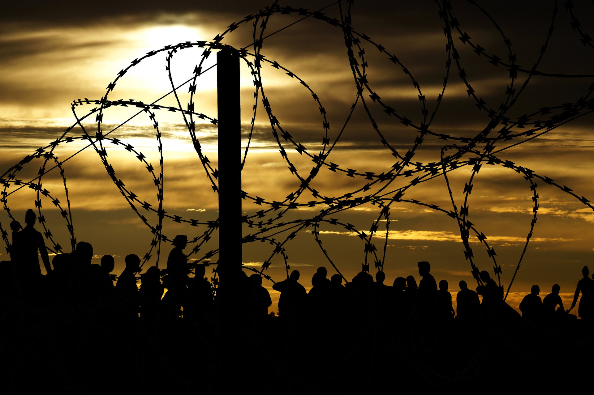 Migráció Magyarországon – múlt és jelen, megdöbbentő adatok, információk