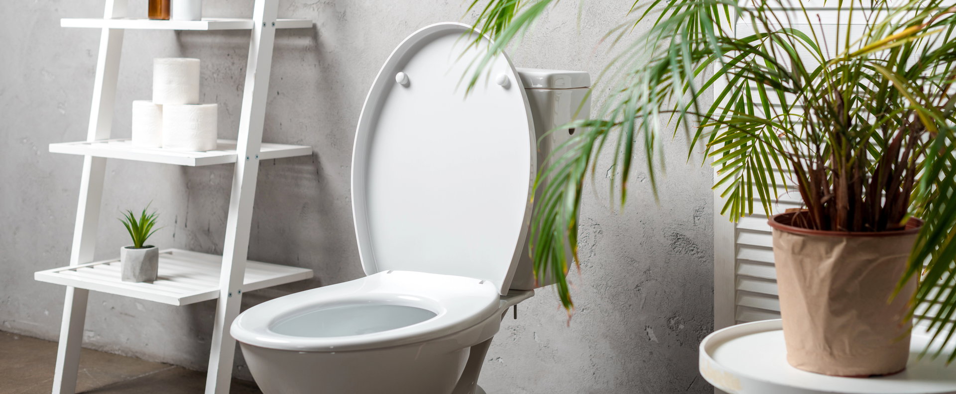 Ez történik a levegőben, ha nyitott tetővel húzod le a WC-t - Ezután többé nem fogod elfelejteni lehajtani