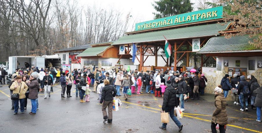 Idén 20 éves a Nyíregyházi Állatpark