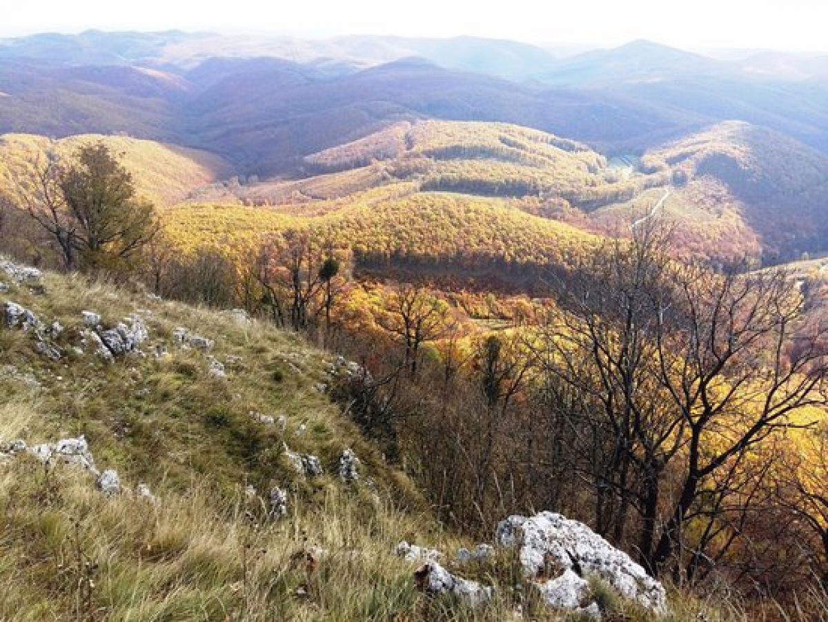 Hat ok arra, hogy miért jó novemberben utazni