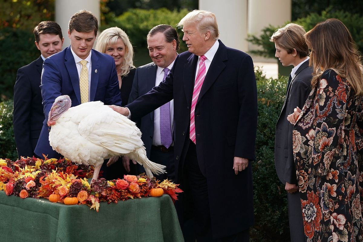 Így kegyelmezett meg Donald Trump Borsónak, a pulykának