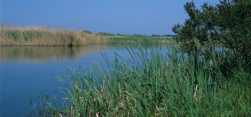 Hulladékderbit tartanak a Tisza-tavon