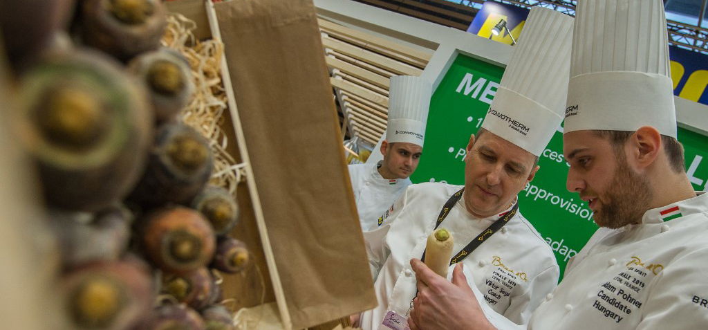 Bocuse d'Or: fürj és pisztráng – nehéz feladat előtt állnak a szakácsok