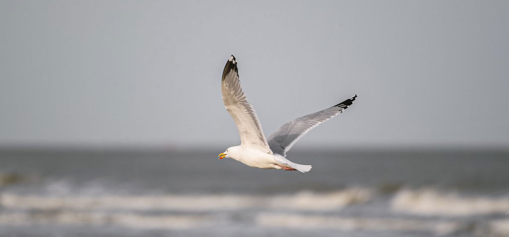 Ne tervezzünk programot a hét utolsó napjára!