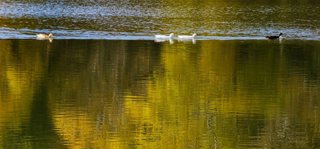 El nem hiszed, hogy mennyire meleg lesz szerdán!