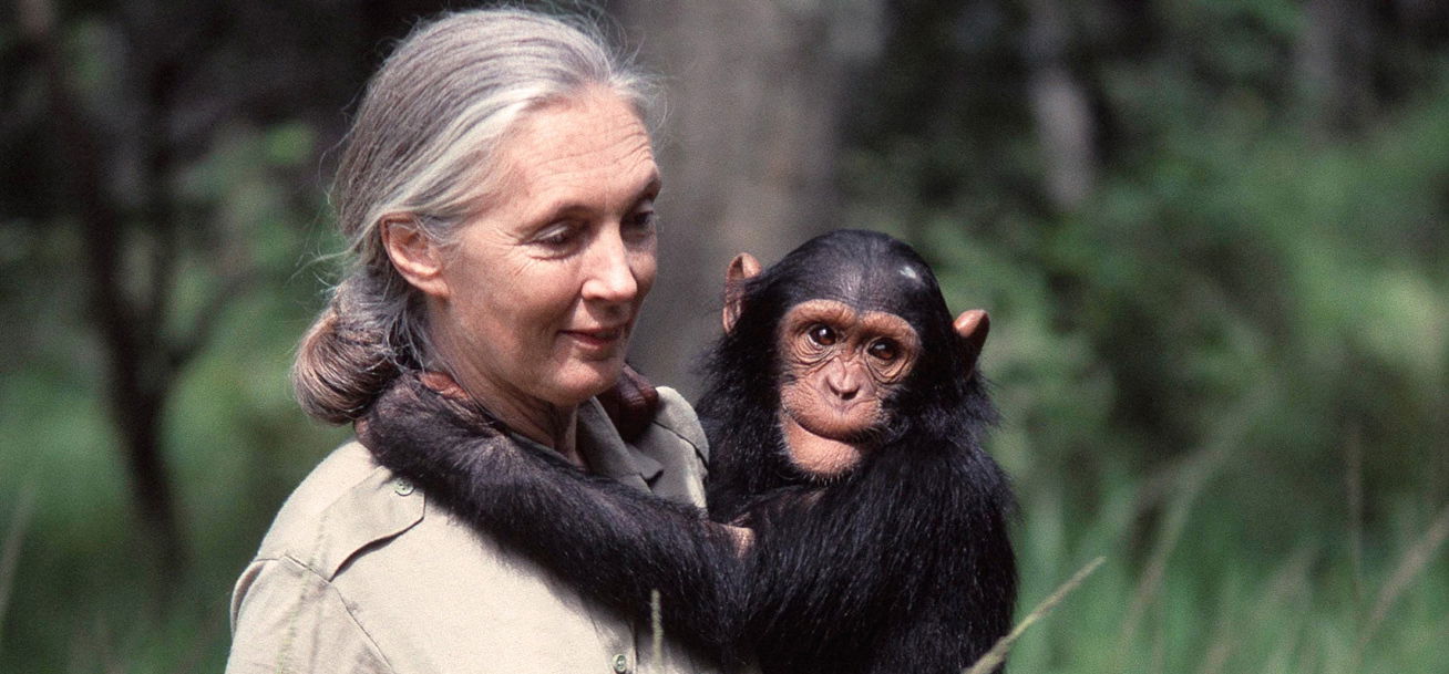 A Föld napja – különleges filmmel készül a National Geographic