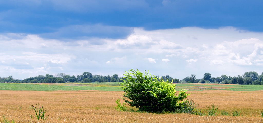 Szeretni és utálni fogod a jövő heti időjárást – ez vár rád