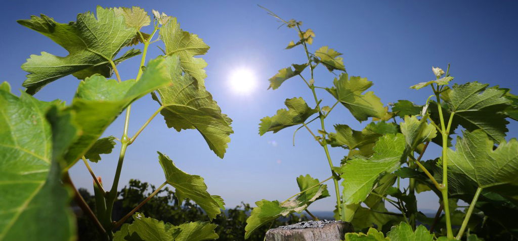 Amilyen a hétfő volt, olyan lesz a kedd is – időjárás-jelentés